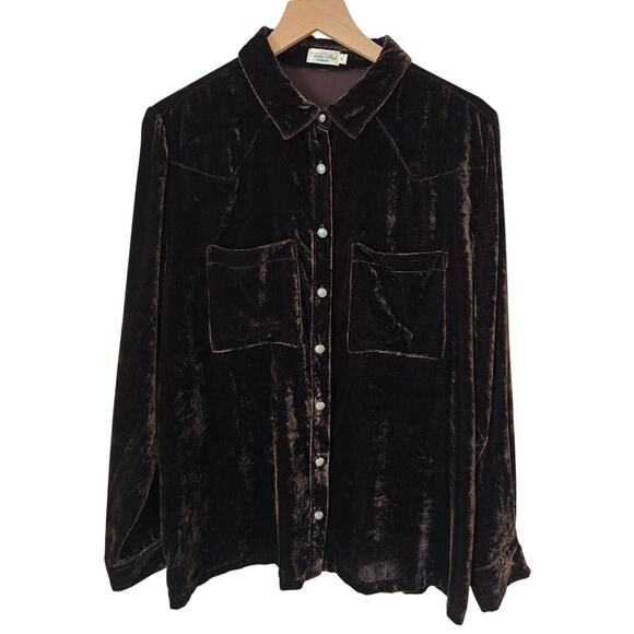 Tasha Polizzi Harlyn Velvet Button Down Shirt Brown XL MSRP $200 - Picture 1 of 4